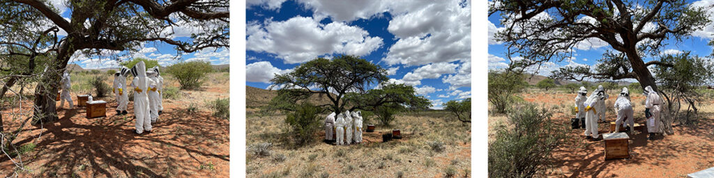 HONEY-FARMER-INCUBATOR